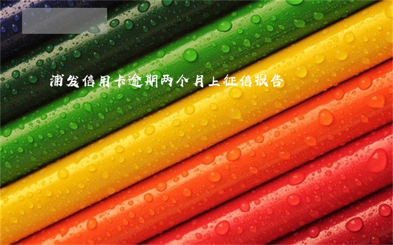浦发信用卡逾期两个月上征信报告 浦发信用卡逾期两个月上征信报告