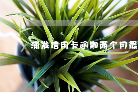 浦发信用卡逾期两个月最低还款 浦发信用卡逾期两个月最低还款