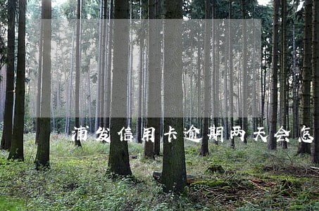 浦发信用卡逾期两天会怎样 浦发信用卡逾期两天会怎样