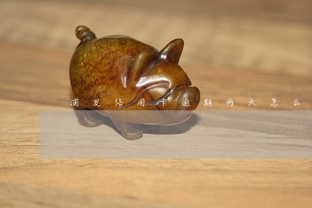 浦发信用卡逾期两天怎么处理 浦发信用卡逾期两天怎么处理