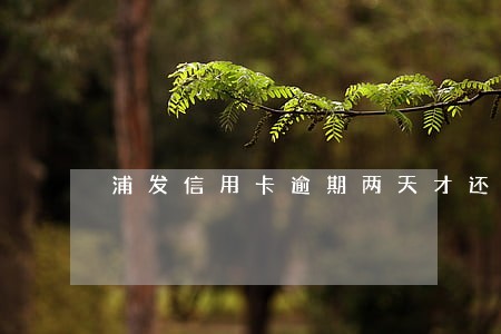 浦发信用卡逾期两天才还上额度 浦发信用卡逾期两天才还上额度