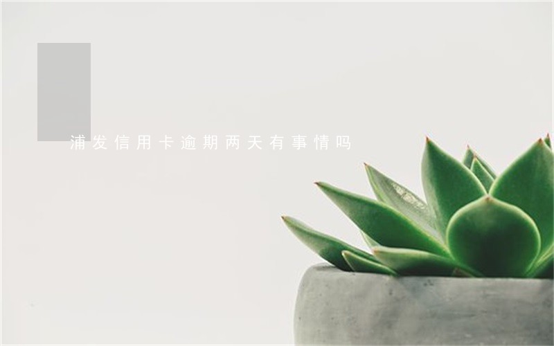 浦发信用卡逾期两天有事情吗 浦发信用卡逾期两天有事情吗