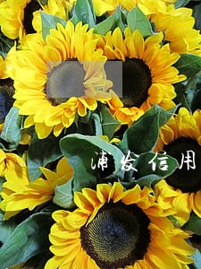 浦发信用卡逾期两天有利息吗