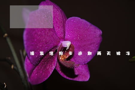 浦发信用卡逾期两天被冻结 浦发信用卡逾期两天被冻结