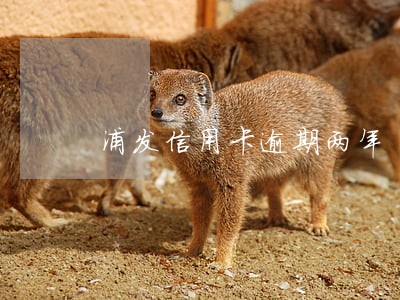 浦发信用卡逾期两年 浦发信用卡逾期两年