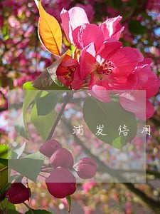浦发信用卡逾期两年了怎么协商 浦发信用卡逾期两年了怎么协商