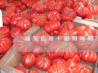 浦发信用卡逾期两期还最低 浦发信用卡逾期两期还最低