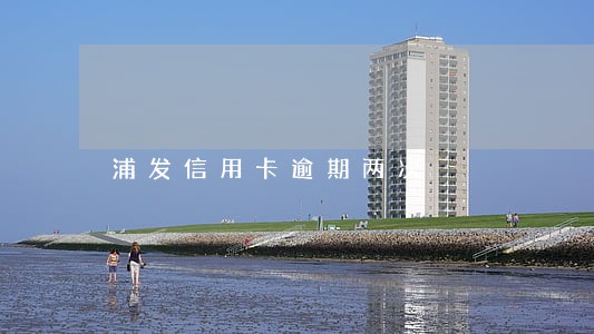 浦发信用卡逾期两次