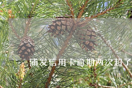 浦发信用卡逾期两次超了15天 浦发信用卡逾期两次超了15天
