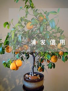 浦发信用卡逾期严重会怎么样 浦发信用卡逾期严重会怎么样