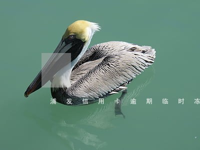 浦发信用卡逾期临时冻结停卡 浦发信用卡逾期临时冻结停卡
