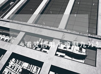 浦发信用卡逾期九万怎么办