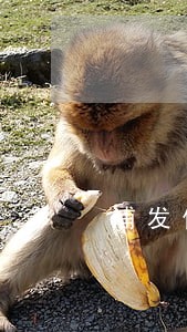 浦发信用卡逾期了4个月了怎么办 浦发信用卡逾期了4个月了怎么办