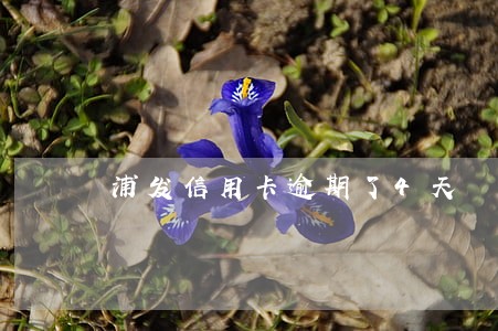浦发信用卡逾期了4天 浦发信用卡逾期了4天