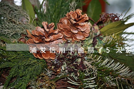 浦发信用卡逾期了5天影响征信吗 浦发信用卡逾期了5天影响征信吗