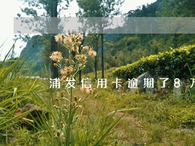 浦发信用卡逾期了8万