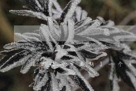 浦发信用卡逾期了一个月还能用吗