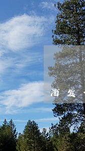 浦发信用卡逾期了一周