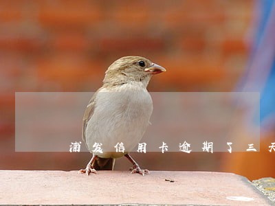 浦发信用卡逾期了三天忘记了