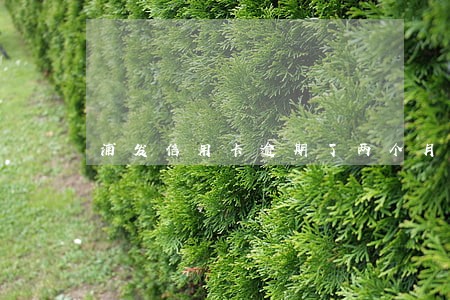 浦发信用卡逾期了两个月 浦发信用卡逾期了两个月