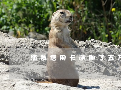 浦发信用卡逾期了五万 浦发信用卡逾期了五万