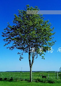 浦发信用卡逾期了五万多 浦发信用卡逾期了五万多
