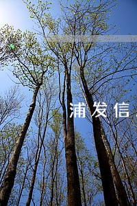 浦发信用卡逾期了会降额么 浦发信用卡逾期了会降额么