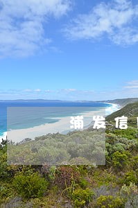 浦发信用卡逾期了十天了怎么办