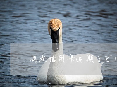 浦发信用卡逾期了可以分期吗 浦发信用卡逾期了可以分期吗