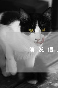 浦发信用卡逾期了多久会上征信 浦发信用卡逾期了多久会上征信
