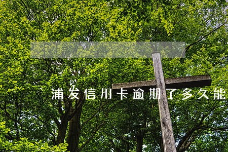 浦发信用卡逾期了多久能用 浦发信用卡逾期了多久能用
