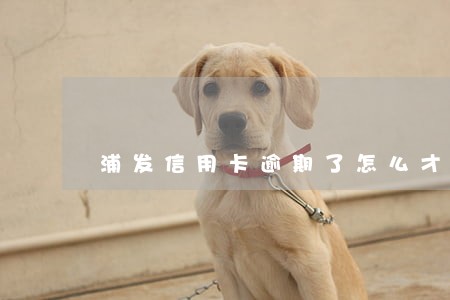 浦发信用卡逾期了怎么才能用
