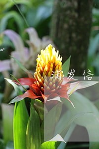 浦发信用卡逾期了怎么解锁 浦发信用卡逾期了怎么解锁