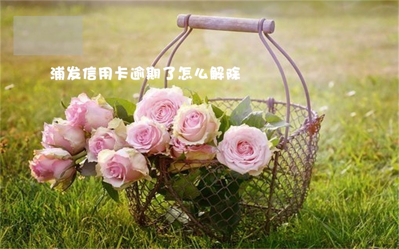 浦发信用卡逾期了怎么解除