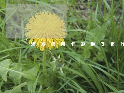 浦发信用卡逾期了有什么后果 浦发信用卡逾期了有什么后果