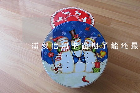 浦发信用卡逾期了能还最低吗