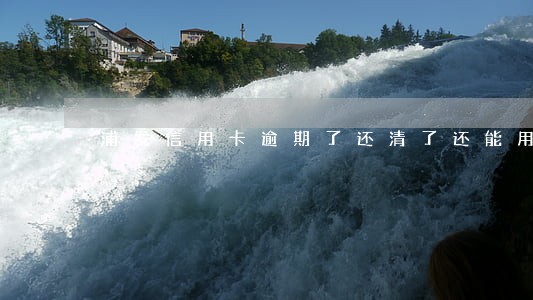 浦发信用卡逾期了还清了还能用 浦发信用卡逾期了还清了还能用