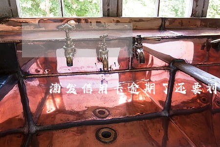 浦发信用卡逾期了还要划款吗