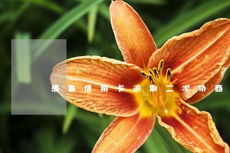 浦发信用卡逾期二次协商成功 浦发信用卡逾期二次协商成功