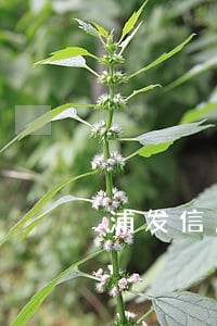 浦发信用卡逾期五万三年 浦发信用卡逾期五万三年