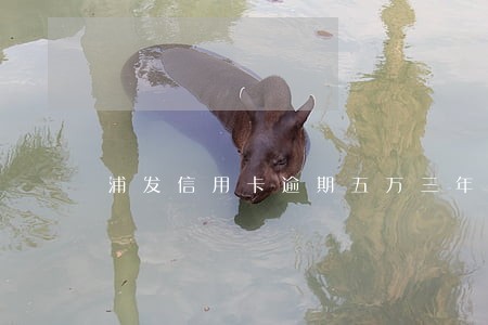 浦发信用卡逾期五万三年未还