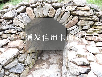 浦发信用卡逾期五万以下