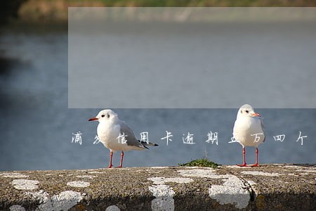 浦发信用卡逾期五万四个多月 浦发信用卡逾期五万四个多月