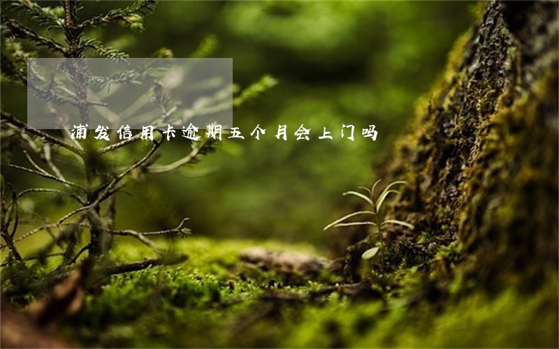 浦发信用卡逾期五个月会上门吗 浦发信用卡逾期五个月会上门吗