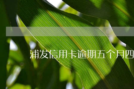 浦发信用卡逾期五个月四万 浦发信用卡逾期五个月四万