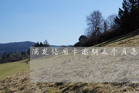 浦发信用卡逾期五个月怎么协商 浦发信用卡逾期五个月怎么协商