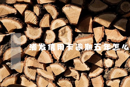 浦发信用卡逾期五年怎么分期 浦发信用卡逾期五年怎么分期