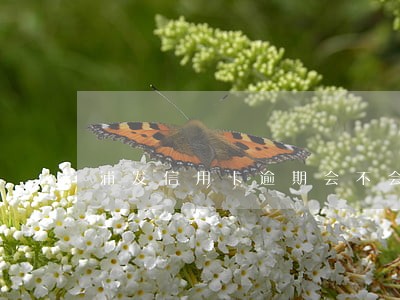 浦发信用卡逾期会不会停卡