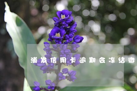 浦发信用卡逾期会冻结微信吗 浦发信用卡逾期会冻结微信吗