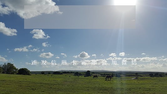 浦发信用卡逾期会加微信 浦发信用卡逾期会加微信